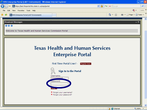 Screenshot of Portal signon page